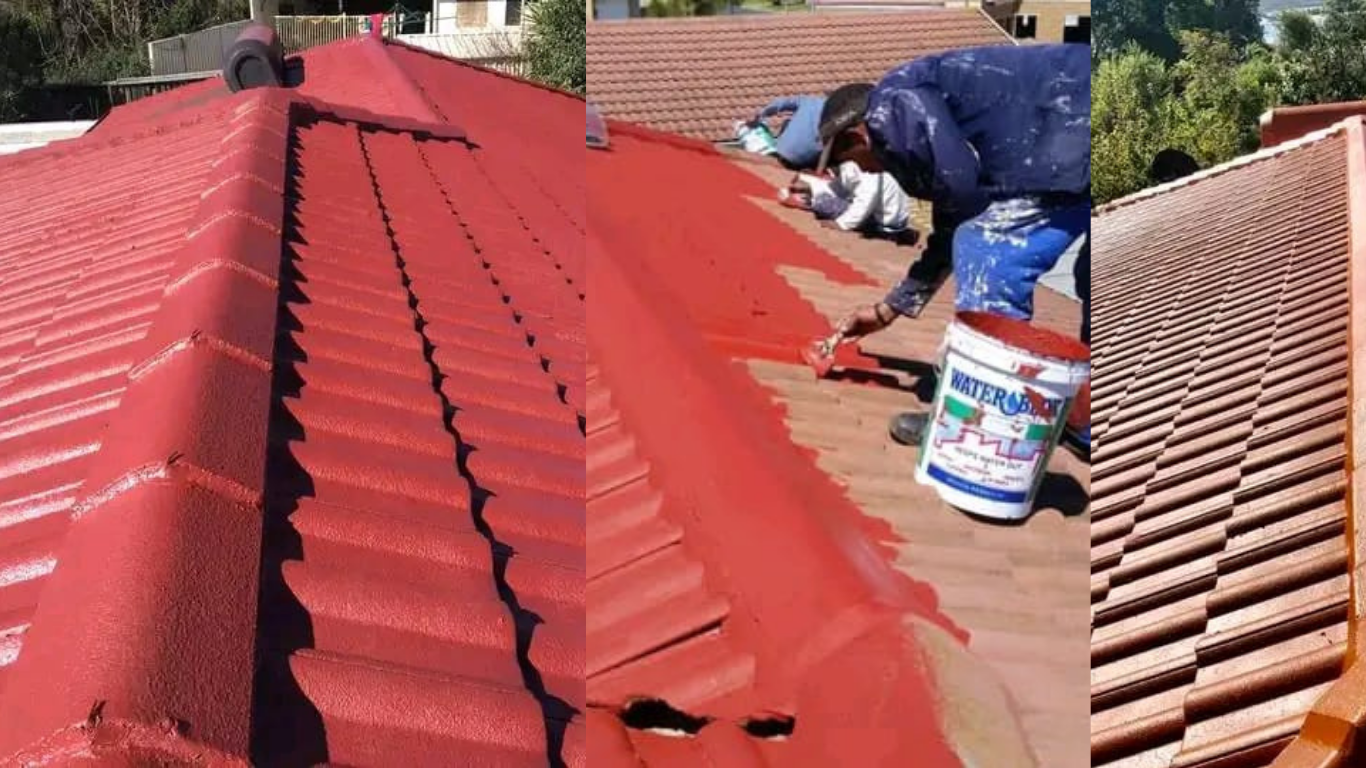 Roof Painting and Waterproofing by Lewis Painters